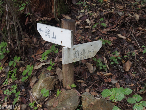 大岳山_鋸山_登山_20
