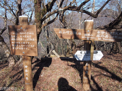 鍋割山日帰り登山_46