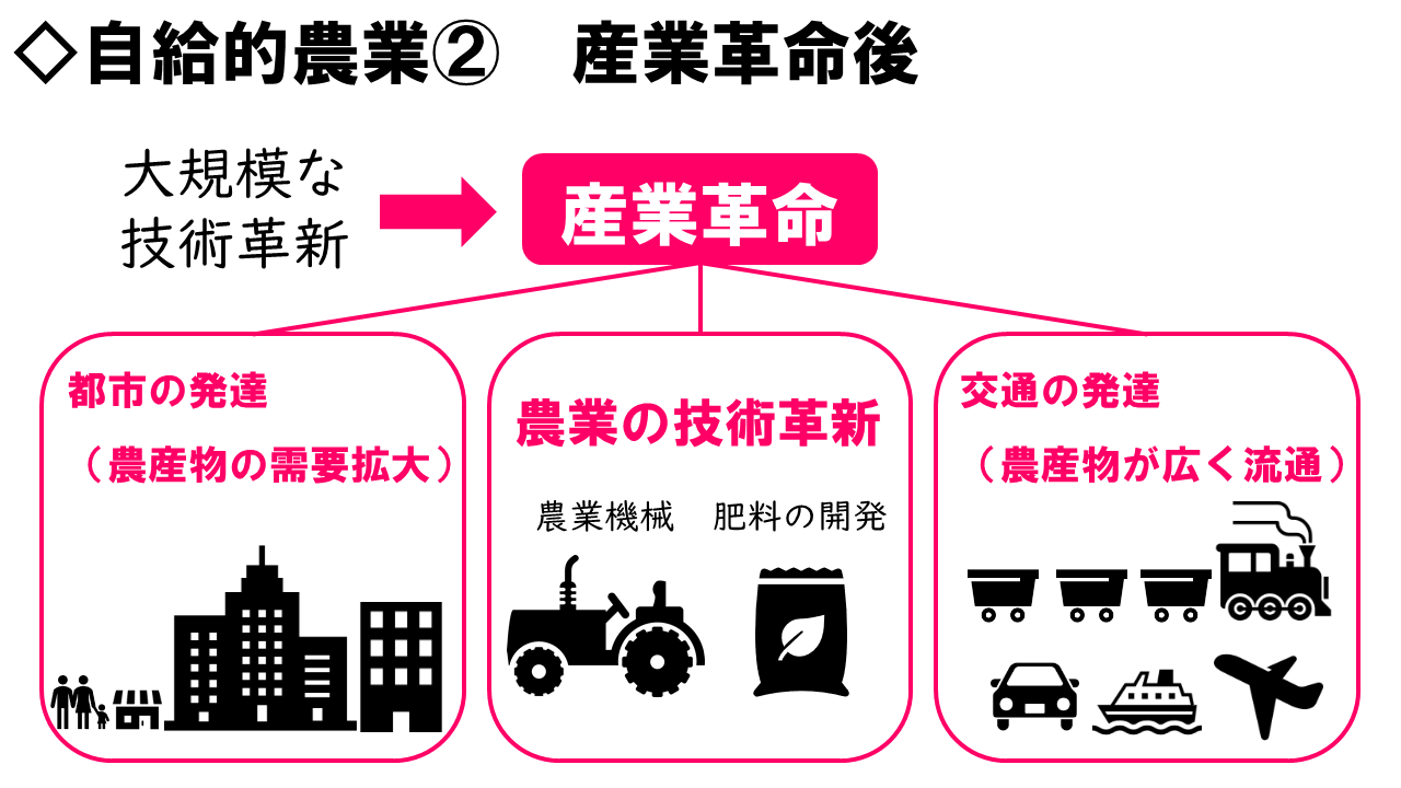開発と貿易の新潮流 農産物貿易と農業・農村開発の課題と展望/アイ・ケイコ-ポレ-ション/溝辺哲男（単行本） 開発と貿易の新潮流: 農産物貿易と農業・農村開発の課題と展望