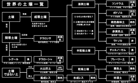 土壌のフローチャート(白黒)-1