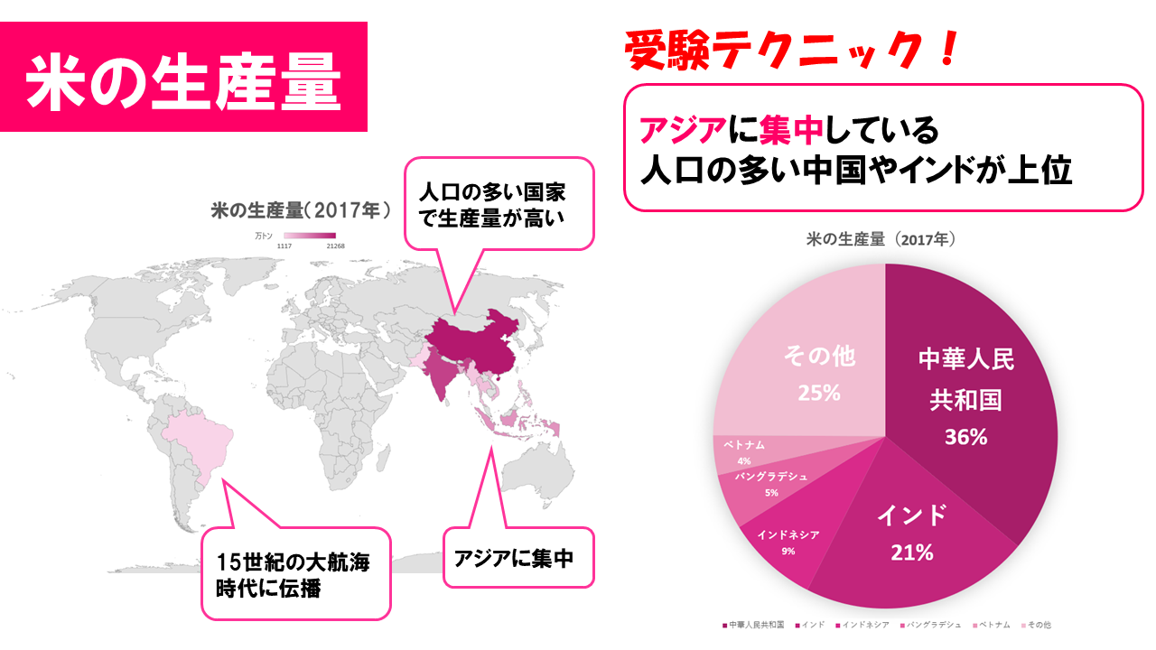 米 の 生産 量 世界