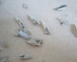 obon鉛筆
