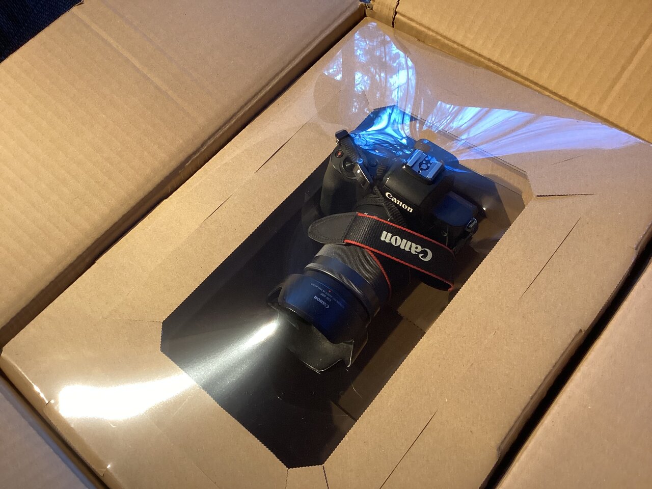 Vol.5131 カメラ修理 : かえるのひとりごと