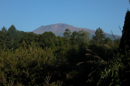 DSCN7940