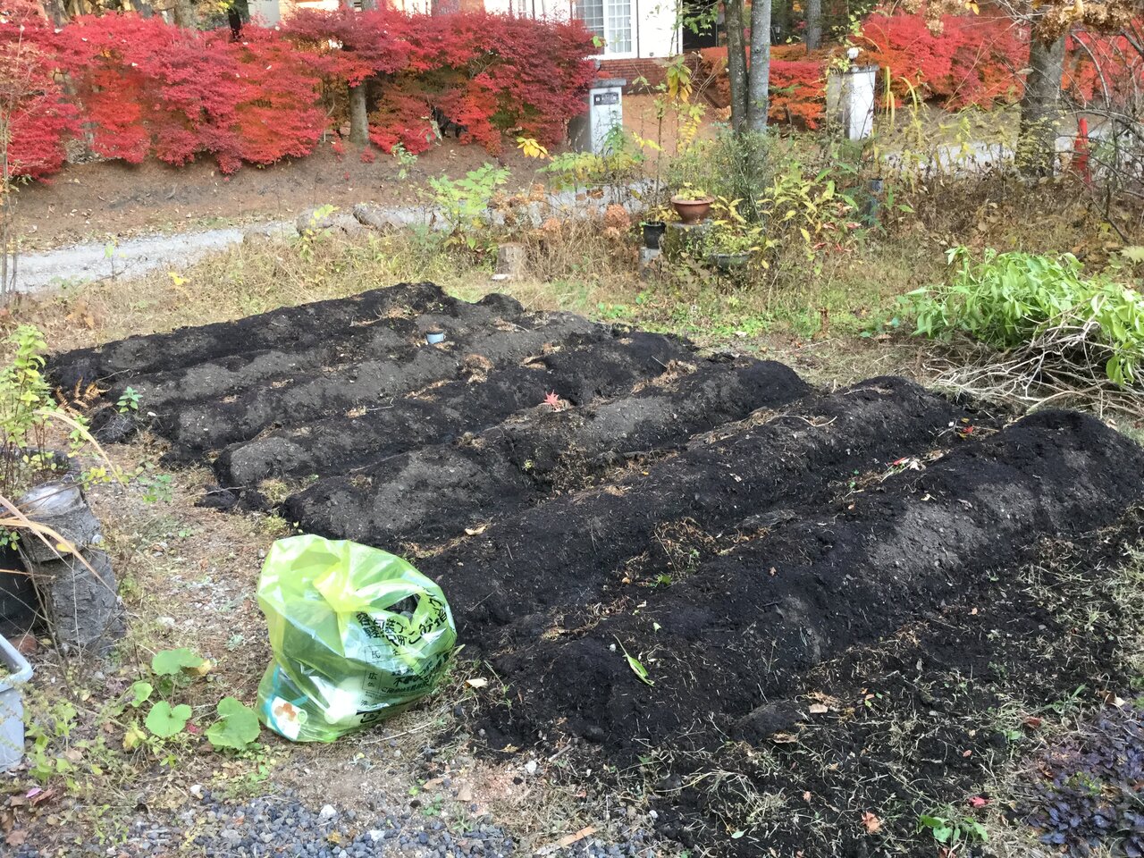 Vol 4273 土起こし かえるのひとりごと