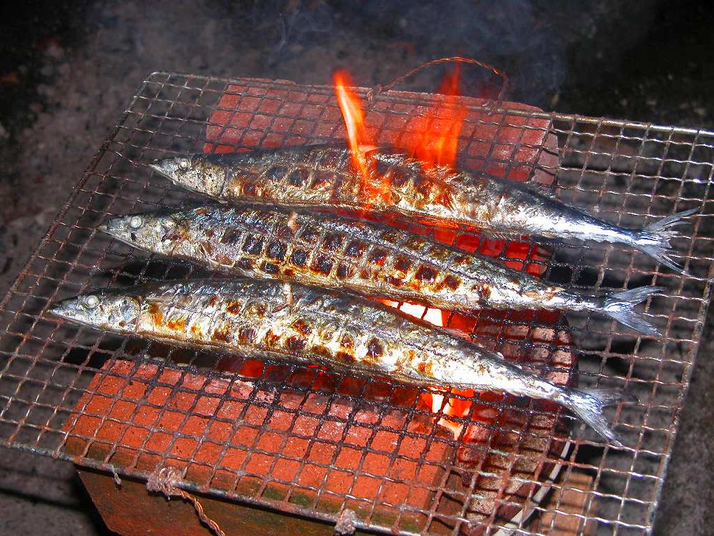 Vol 445 秋は秋刀魚 かえるのひとりごと