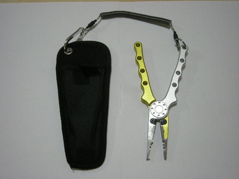 DSCN6110