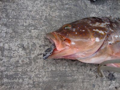 DSC01976