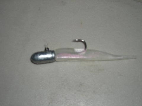 DSCN6224