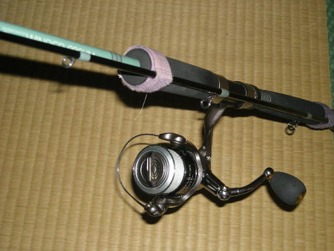 DSCN5985