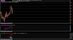 ��4����­