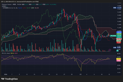 TPL1!_2026-02-12_08-46-49