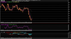 ��4����­