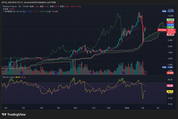 TPL1!_2026-02-05_08-41-39