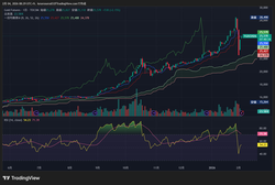 TGD1!_2026-02-04_08-29-26