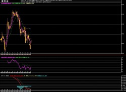 ��4����­