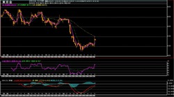 ��4����­