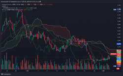 TPL1!_2024-12-04_07-53-21
