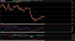 ��4����­