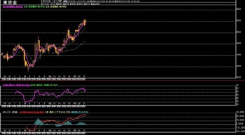 ��4����­