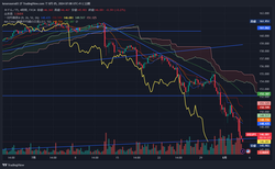 USDJPY_2024-08-05_07-08-33
