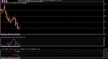 ��4����­