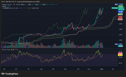 TPL1!_2026-01-07_08-33-25