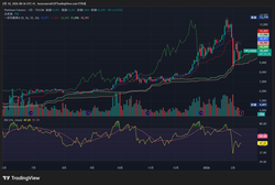 TPL1!_2026-02-10_08-36-27