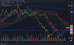 TPL1!_2024-07-31_08-31-22