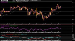 ��������1����­