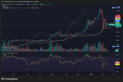 TPL1!_2026-02-16_07-40-41