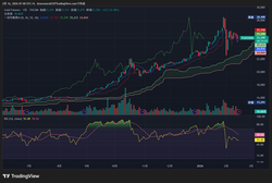 TGD1!_2026-02-16_07-40-50