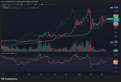 TPL1!_2026-03-11_08-58-44