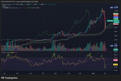 TPL1!_2026-02-04_08-29-20