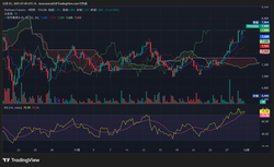 TPL1!_2025-12-01_07-49-49