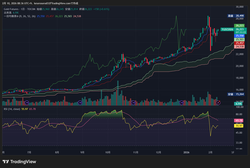 TGD1!_2026-02-10_08-36-37