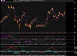 ��1����­