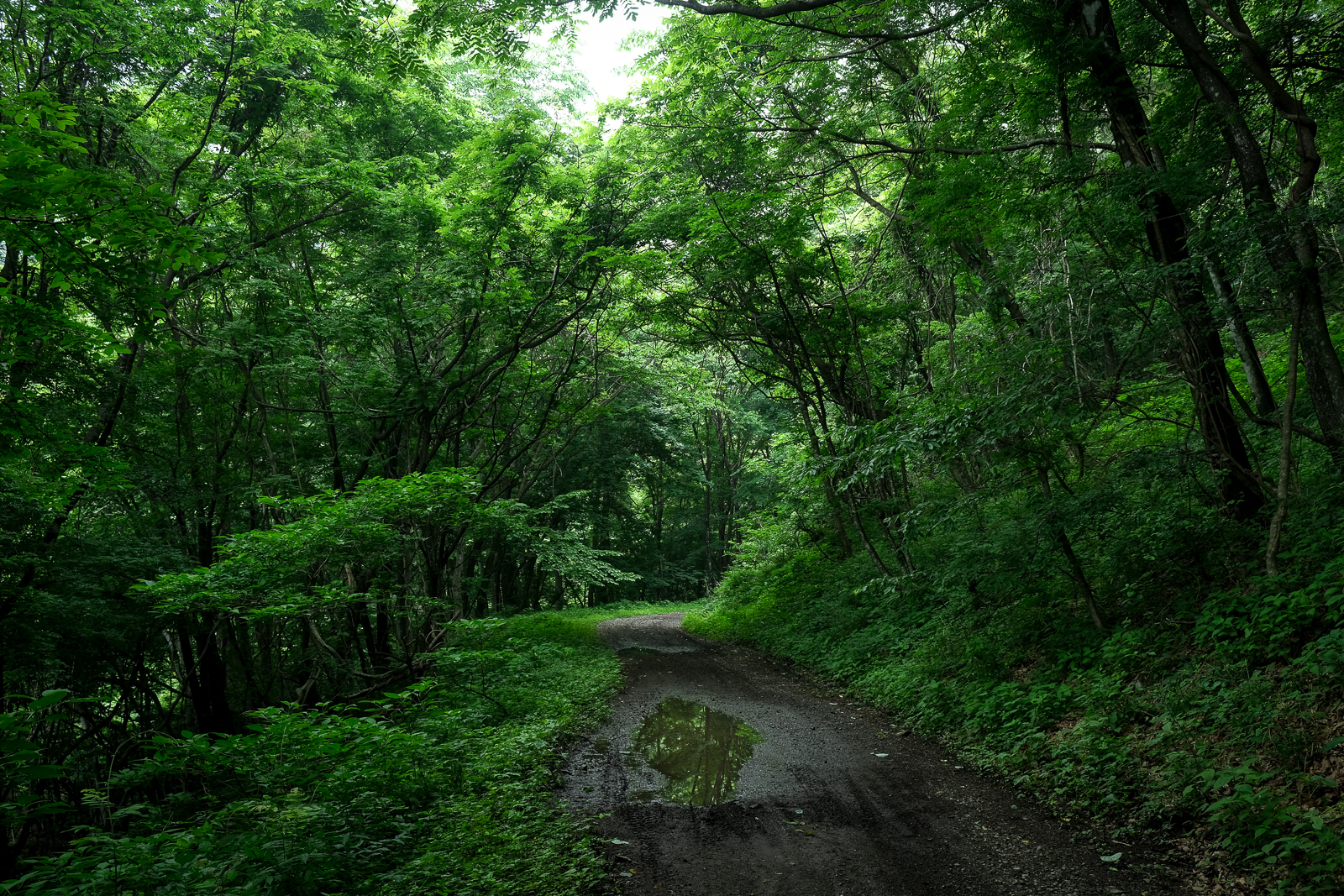 DSCF0549
