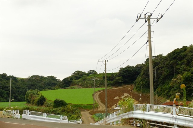 DSCF4830_10_23