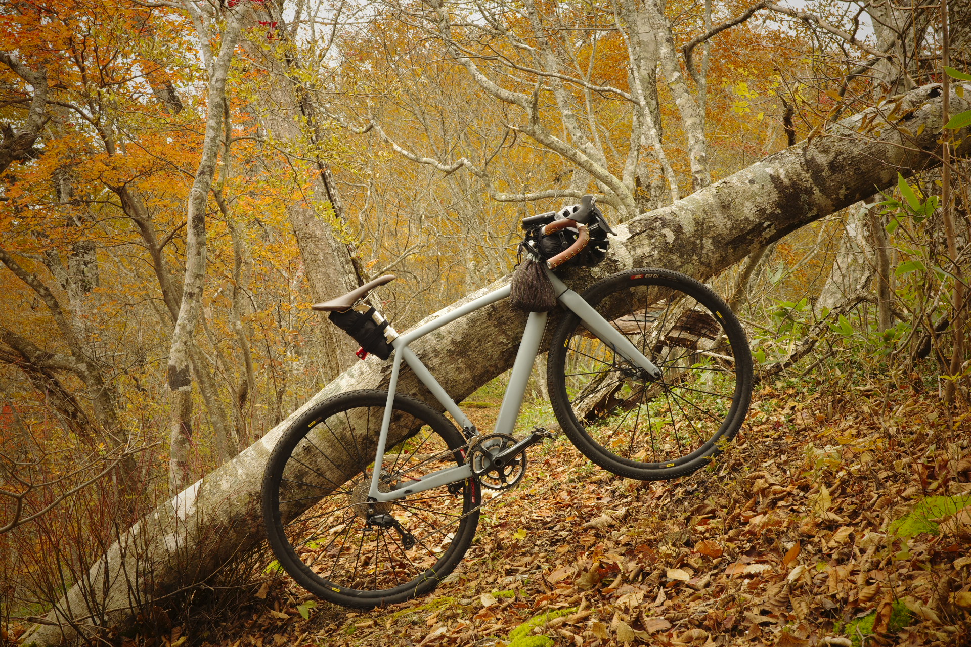 NESTO Claus pro (NE-20-007) : サイクリングにうってつけの日