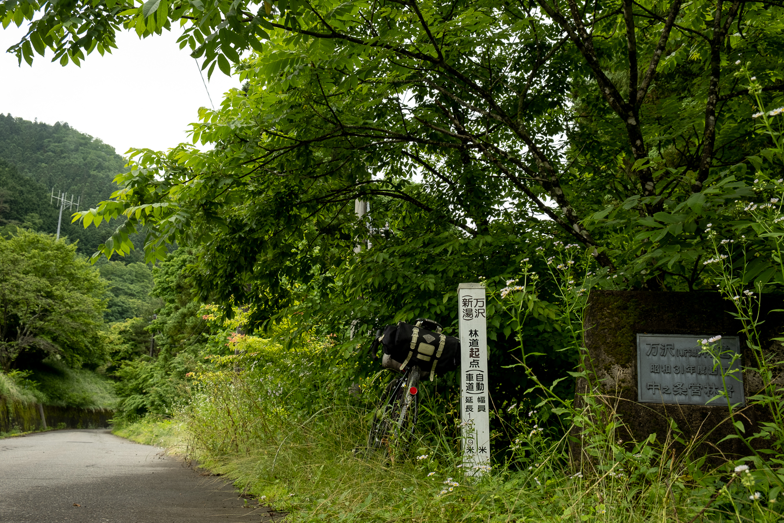 DSCF0601