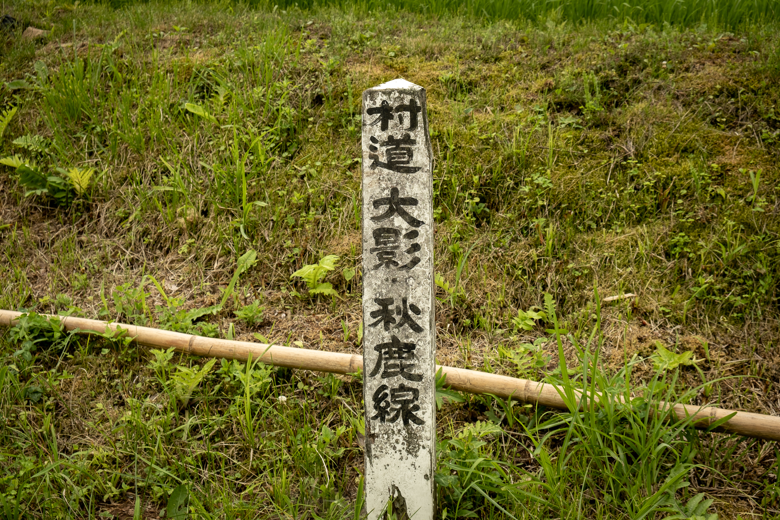 DSCF0483-2