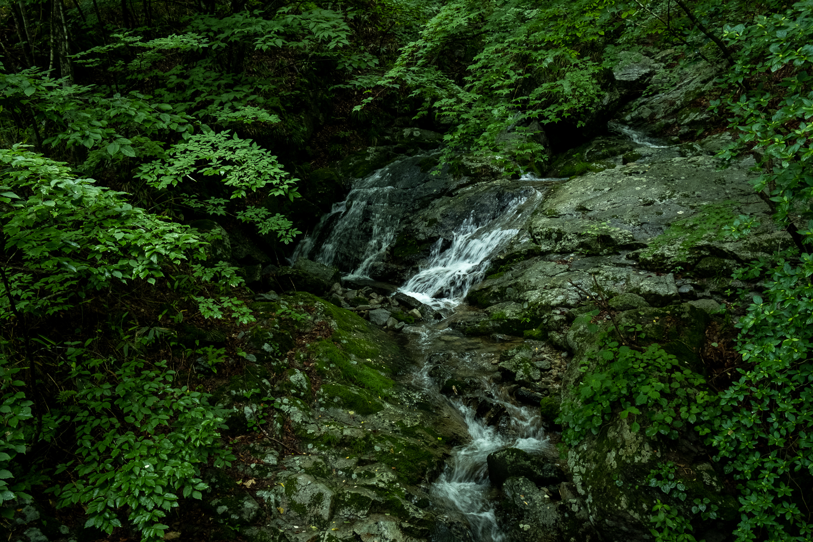 DSCF0628