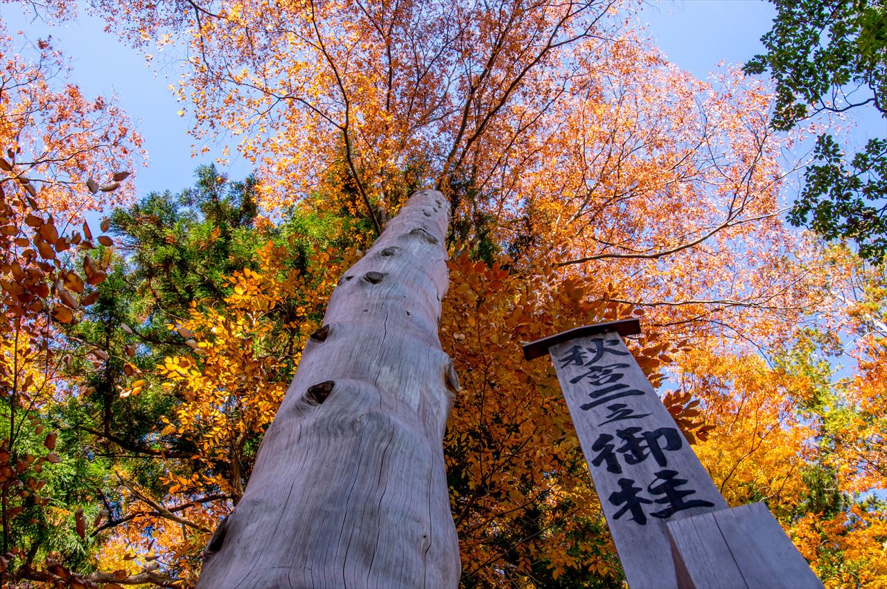 20181105_022