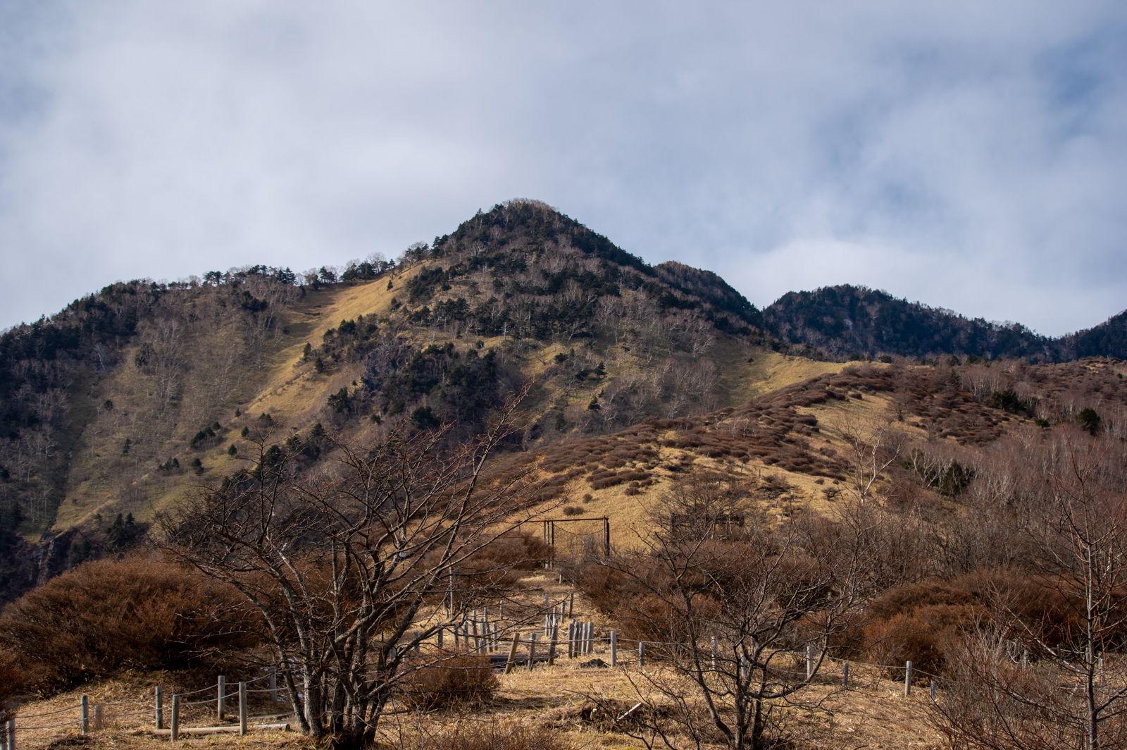 _DUN9481