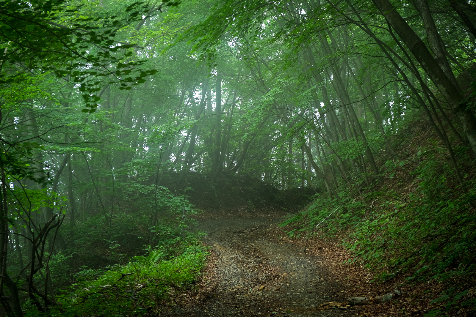 DSCF0535