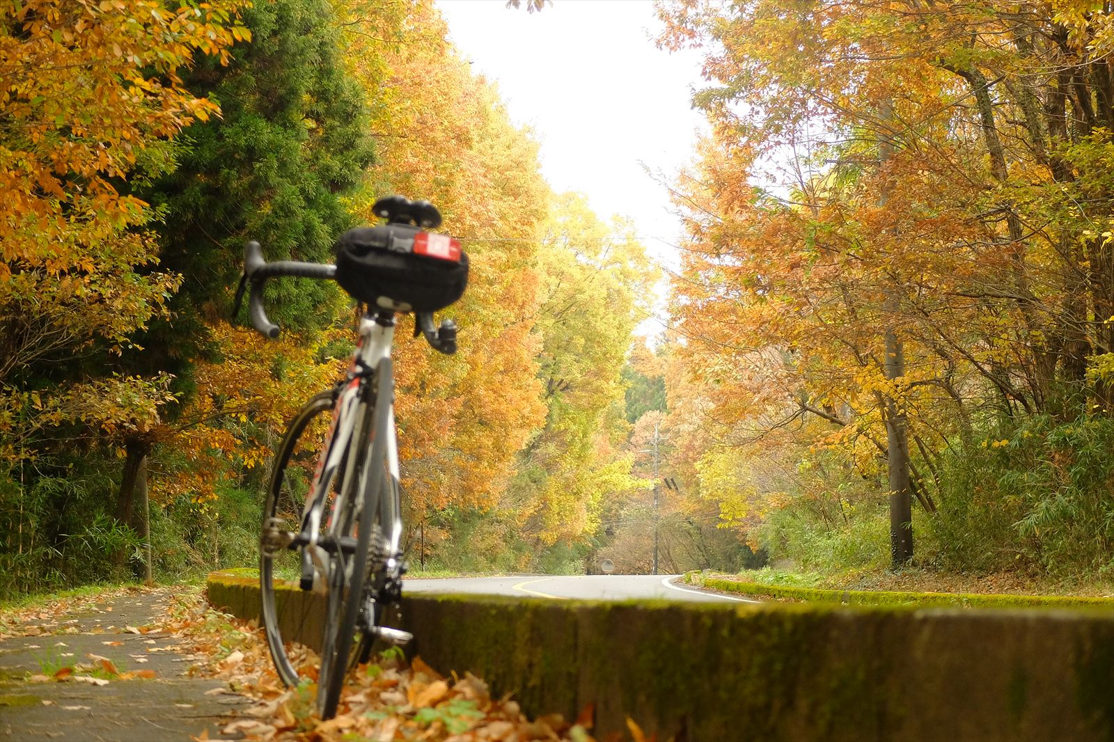 赤城山サイクリング サイクリングにうってつけの日 赤城山サイクリング サイクリングにうってつけの日