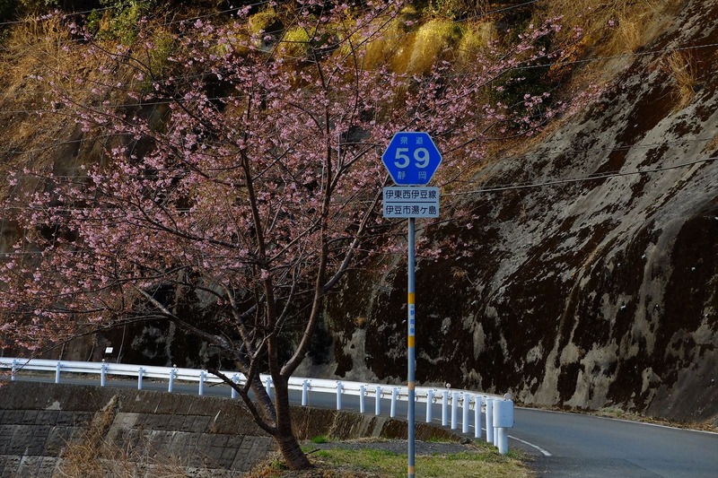 DSCF0036