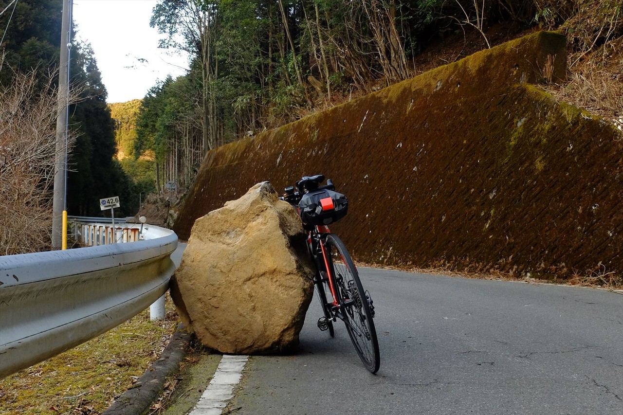 天城越えサイクリング サイクリングにうってつけの日
