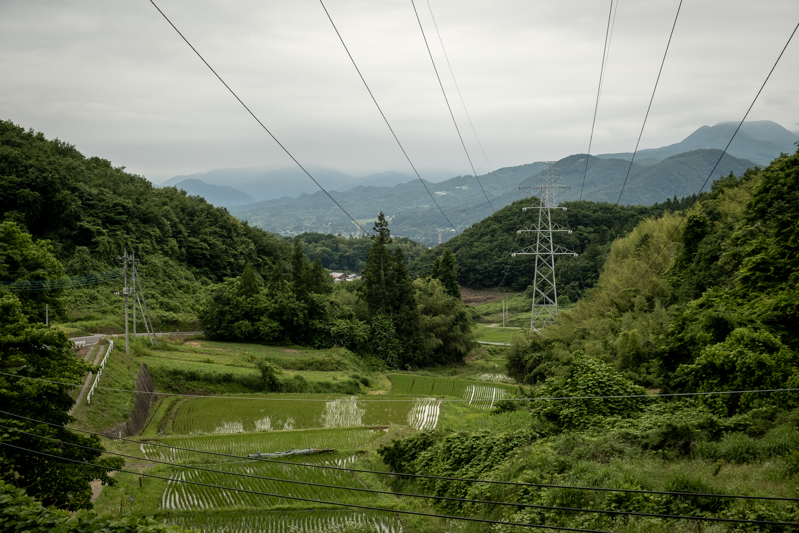 DSCF0474
